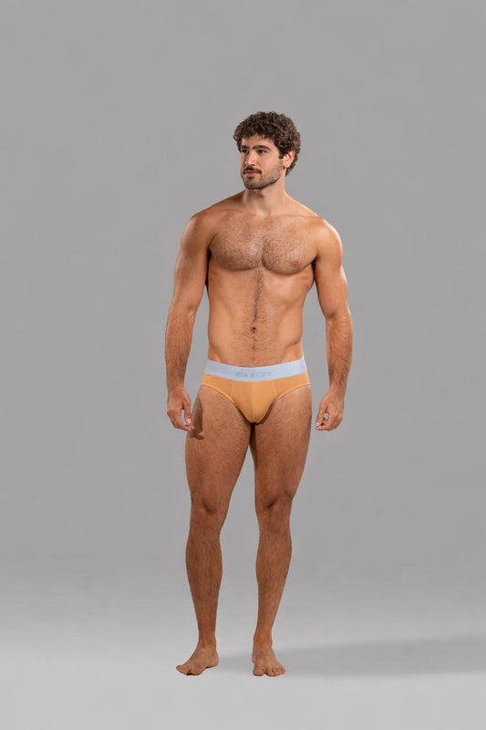 Camel Y-Brief