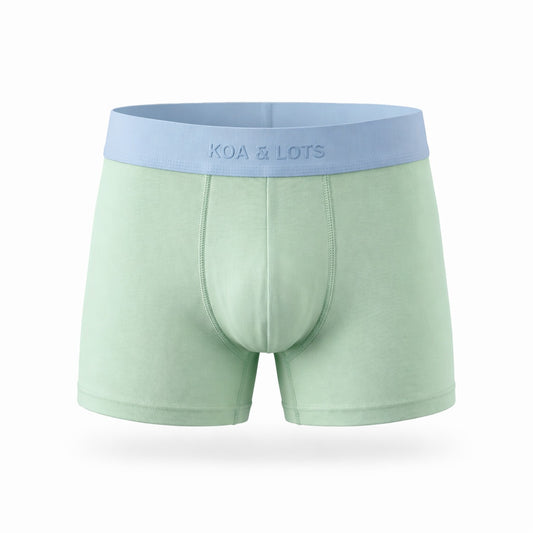 Mint x skyblue  Boxer Brief